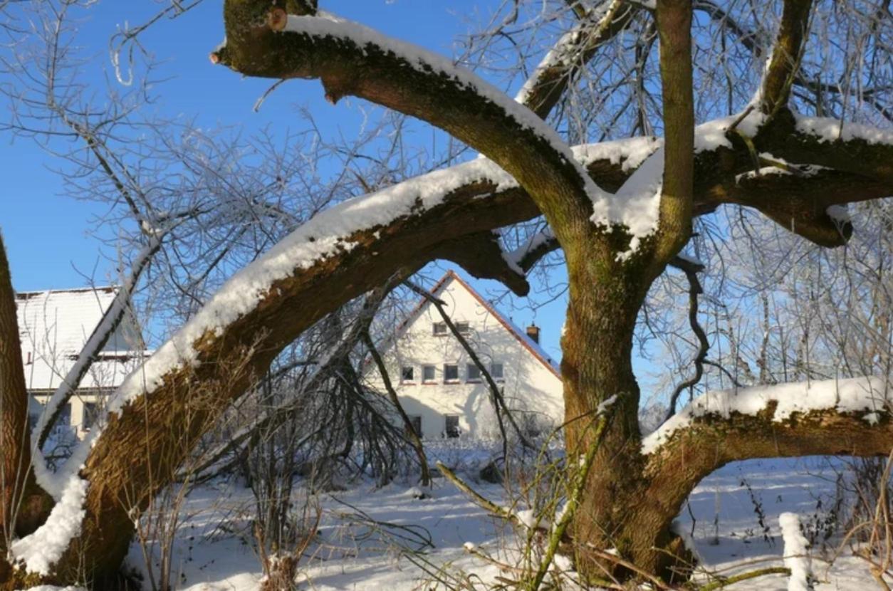 Kulturgutleben Boutiquehotel Seminarhaus Mollenbeck Luaran gambar